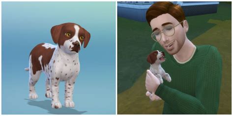 how to adopt a dog sims 4